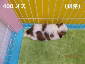上右