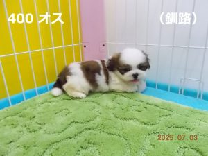 アイ