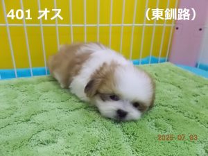伏せ