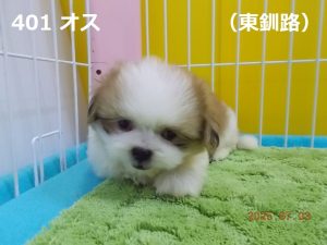 顔