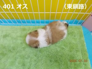 上