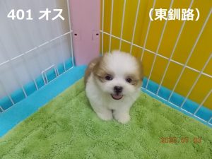 角