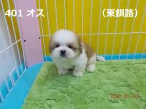 アイ