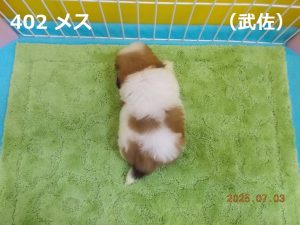 上