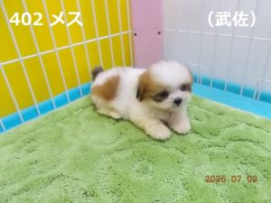 右