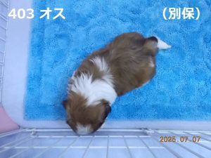 上