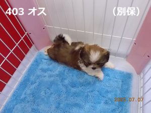 右