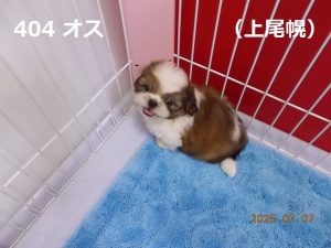 アイ