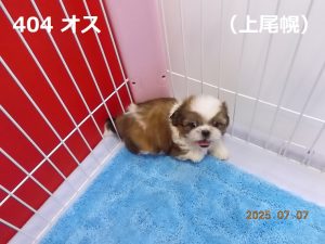 右