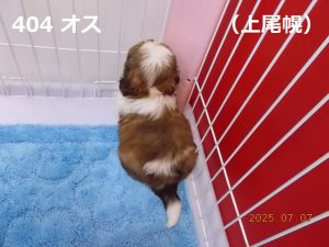 後ろ