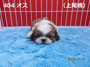 顔中