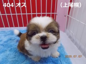 顔大