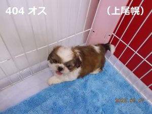 左
