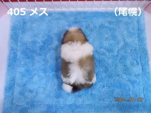 後ろ