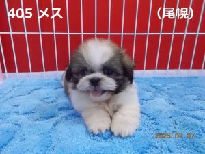 前