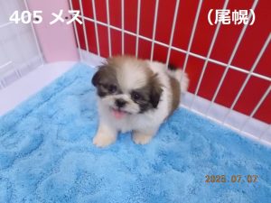 顔中