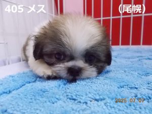 顔大