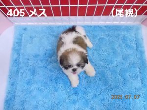 アイ
