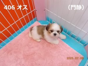 アイ