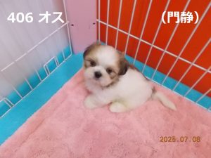 前