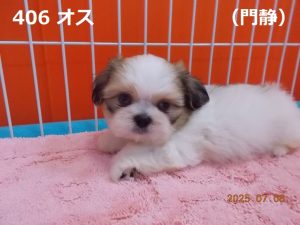 顔大