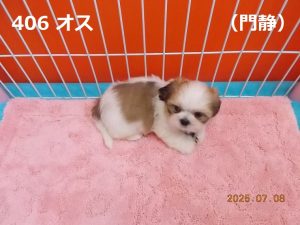 右