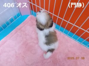 後ろ
