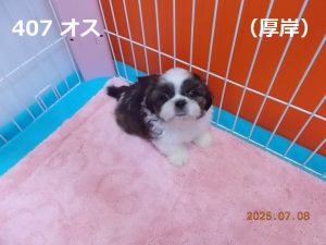 顔