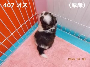 後ろ
