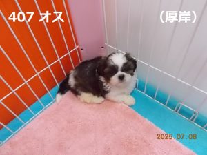 角