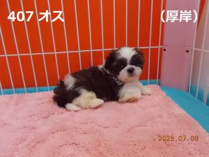 右
