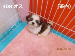 左