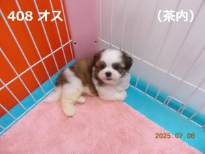 右