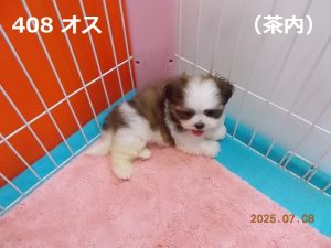 上
