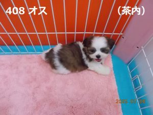右上