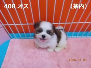 顔