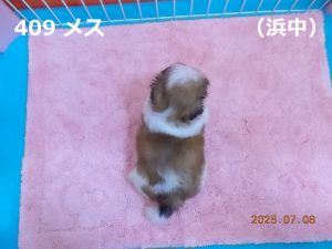 後ろ