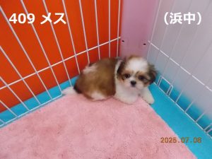 アイ